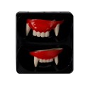Зубы вампира 2шт