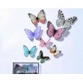 Бабочки ПВХ в прозрачном боксе разноцветные